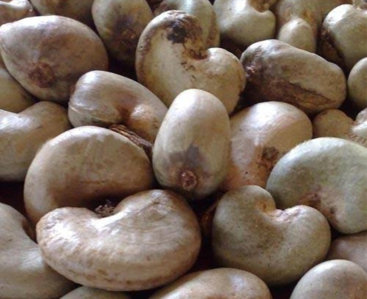Raw Cashew Nuts