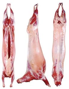 Frozen Lamb