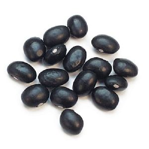 Black Kidney Beans