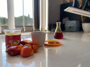 Crude Palm Oil