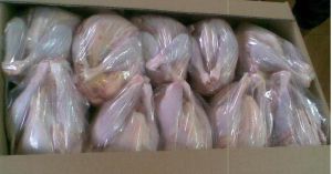 Frozen Whole Chicken